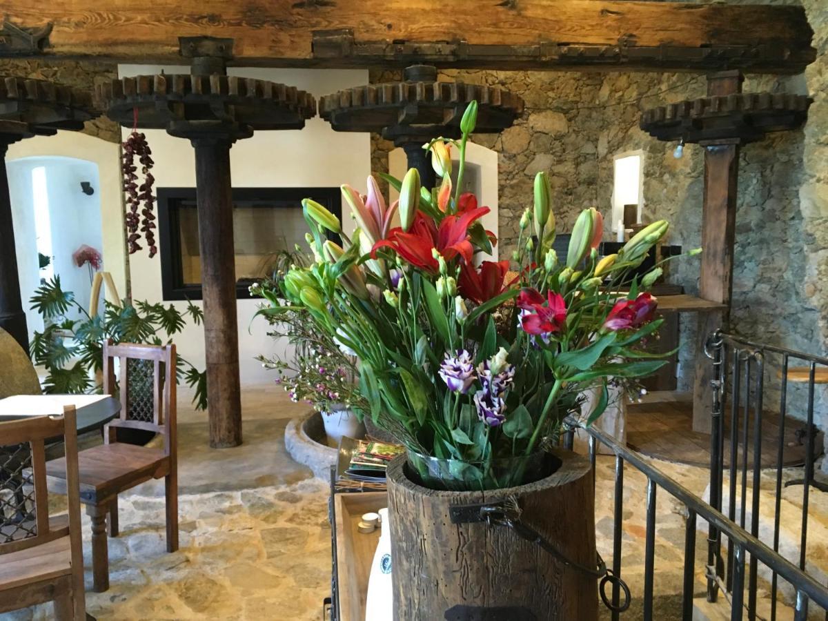 Chambres D'Hotes - Mulino Nannare Ville-di-Paraso 外观 照片