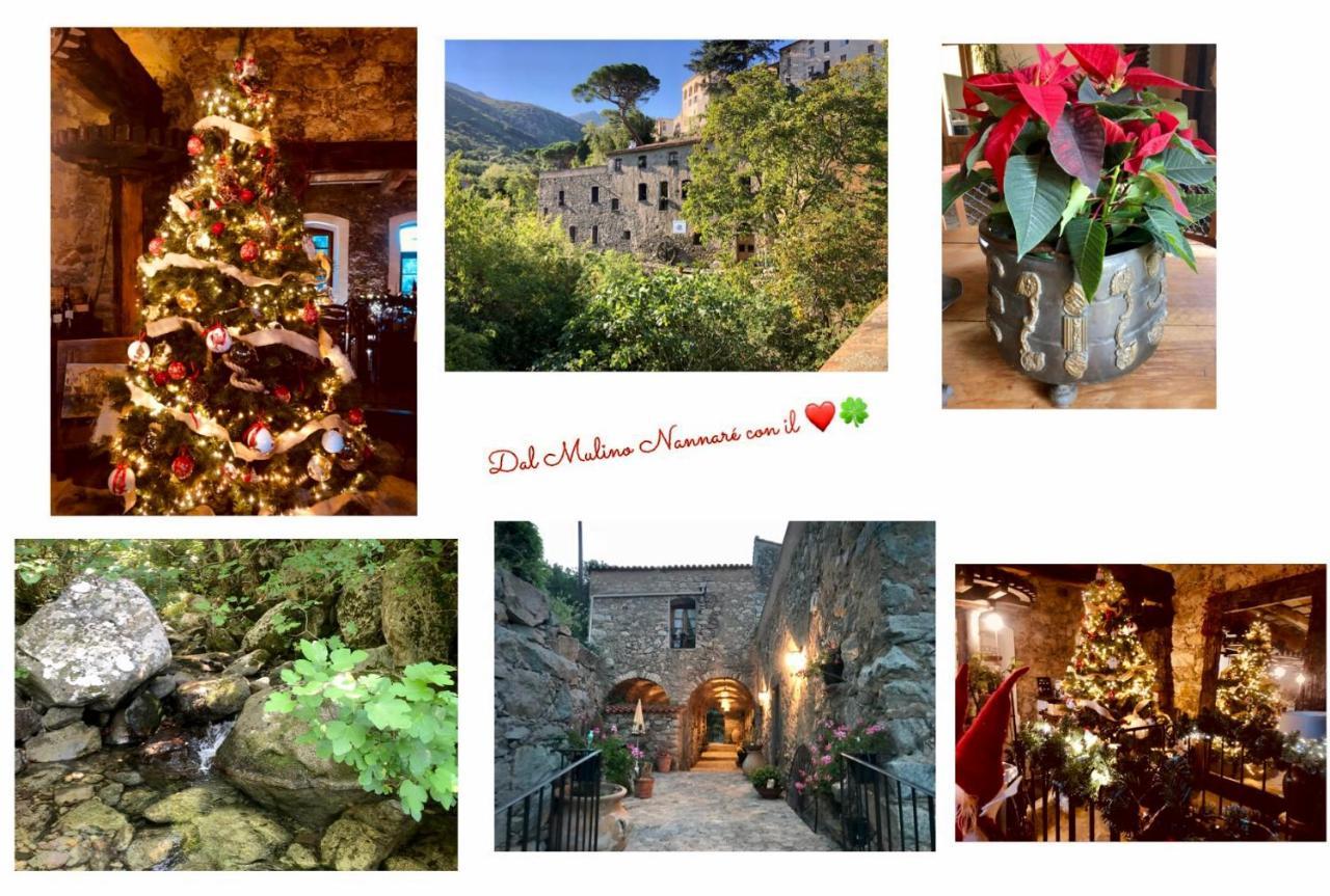 Chambres D'Hotes - Mulino Nannare Ville-di-Paraso 外观 照片