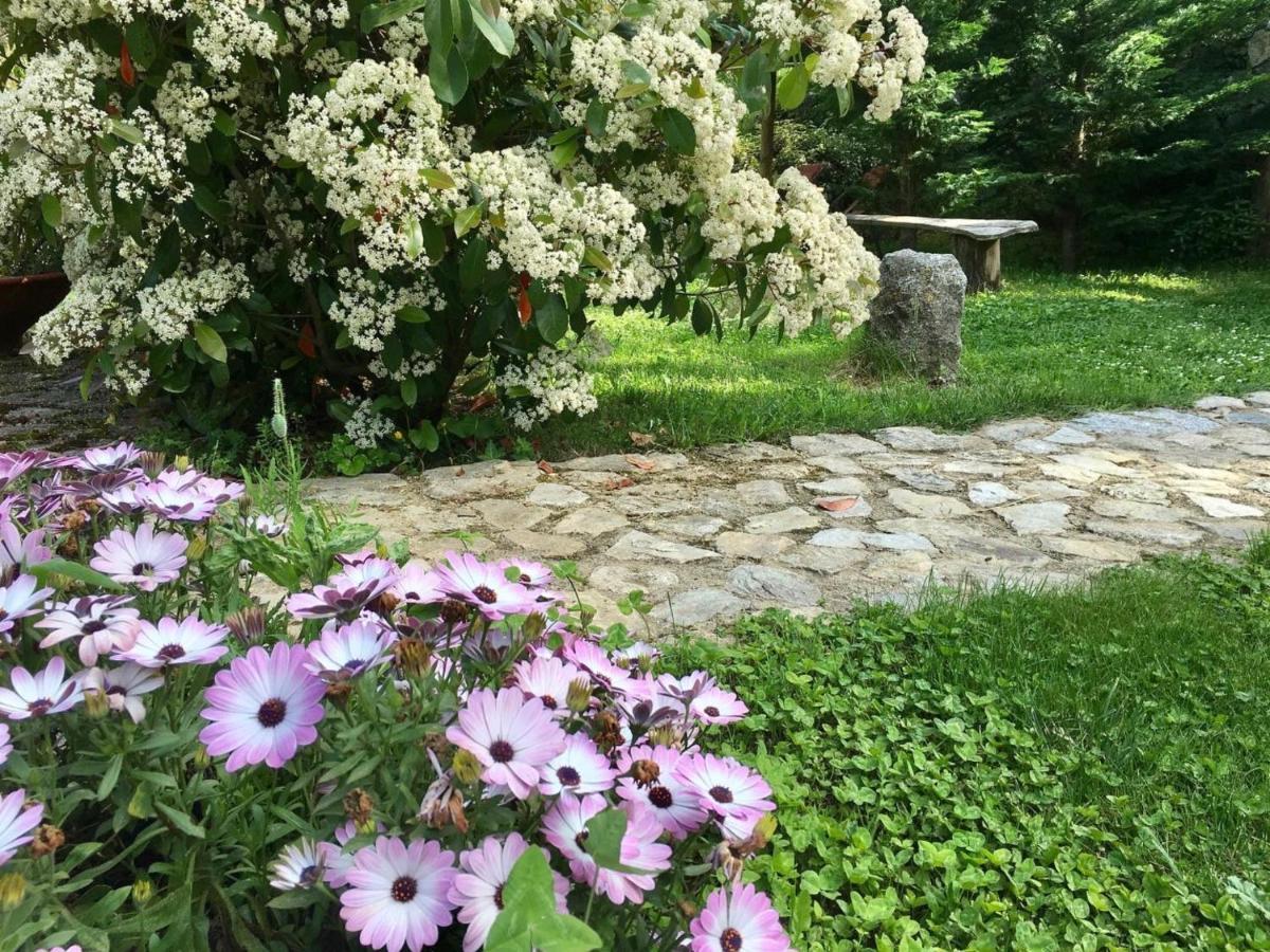 Chambres D'Hotes - Mulino Nannare Ville-di-Paraso 外观 照片